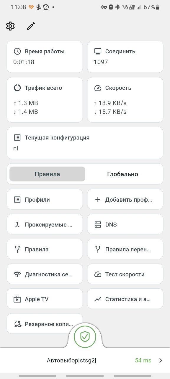 Скриншот приложения Karing 1